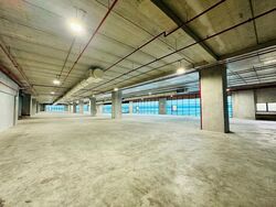 Suites 123 (D8), Warehouse #575776201